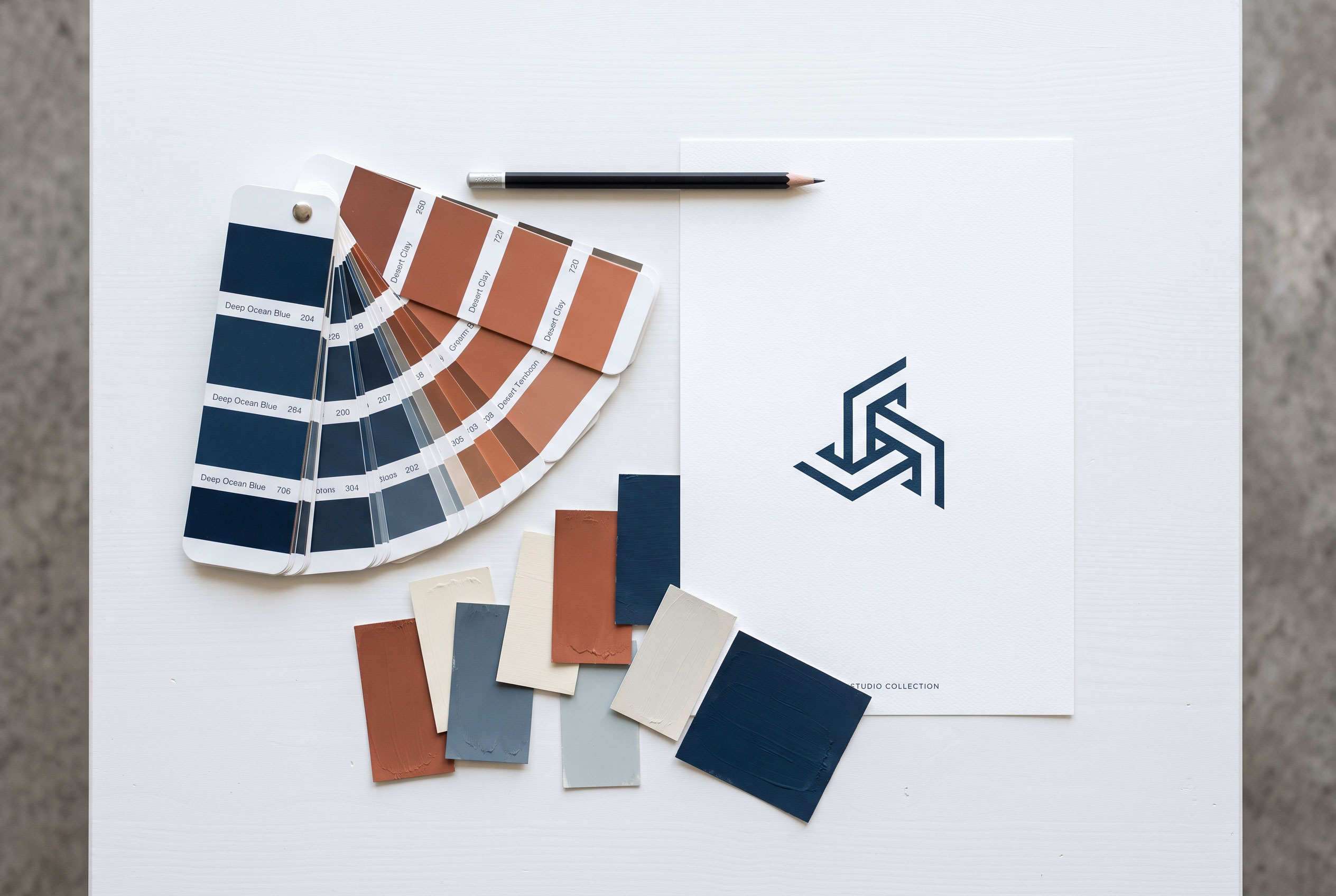 Limited color palette swatches beside a printed logo design